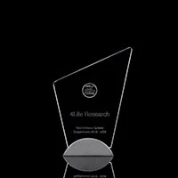 American Business Award for Best New Product